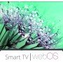IQ IQ WebOS Smart Τηλεόραση 43" Full HD - LED - 4304WB