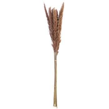 Δέσμη Πάμπας Γρασίδι Συνθετικό Καφέ 70cm