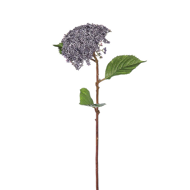 Κλαδί Άλλιον ArteLibre Τεχνητό Πράσινο/Βιολετί 12x72cm Κλαδί Άλλιον ArteLibre Τεχνητό Πράσινο/Βιολετί 12x72cm