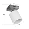 GLOBOSTAR® CUP 203-0057 Vintage Φωτιστικό Οροφής με Ντουί 1 x E27 AC 220-240V IP20 - Λευκό & Μπεζ - Μ14.5 x Π14.5 x Υ25cm GLOBOSTAR® CUP 203-0057 Vintage Φωτιστικό Οροφής με Ντουί 1 x E27 AC 220-240V IP20 - Λευκό & Μπεζ - Μ14.5 x Π14.5 x Υ25cm