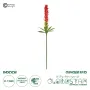 GloboStar® Artificial Garden RED GINGER BUD BRANCH 21393 Τεχνητό Διακοσμητικό Κόκκινο Κλαδί Ginger Y124cm