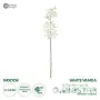 GloboStar® Artificial Garden WHITE VANDA ORCHID BRANCH 21409 Τεχνητό Διακοσμητικό Κλαδί Λευκή Ορχιδέα Y82cm