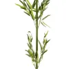 GloboStar® Artificial Garden BAMBOO BRANCH 20439 Τεχνητό Διακοσμητικό Κλαδί Μπαμπού Υ200cm