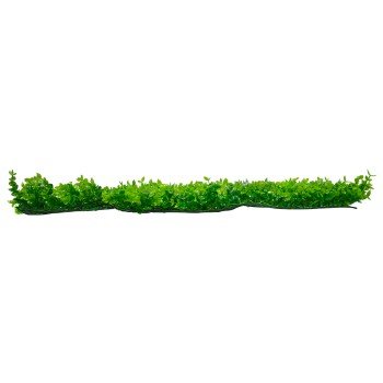 GloboStar® 78416 Artificial - Συνθετικό Τεχνητό Διακοσμητικό Πάνελ Φυλλωσιάς - Κάθετος Κήπος Καυκάσιο Πυξάρι Πράσινο Μ60 x Υ40 x Π4cm GloboStar® 78416 Artificial - Συνθετικό Τεχνητό Διακοσμητικό Πάνελ Φυλλωσιάς - Κάθετος Κήπος Καυκάσιο Πυξάρι Πράσινο Μ60 x Υ40 x Π4cm