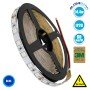 GLOBOSTAR® LUMAR 70226 Ταινία LED 14.4W/m 936lm/m 120° DC 24V IP20 60 x SMD5050 Chip/m Μπλε Dimmable - Sanan SMD Chip - Μ500 x Π1 x Υ0.2cm - Ρολό 5 Μέτρων - 5 Χρόνια Εγγύηση