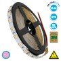 GLOBOSTAR® LUMAR 70227 Ταινία LED 14.4W/m 936lm/m 120° DC 24V IP20 60 x SMD5050 Chip/m Ροζ Dimmable - Sanan SMD Chip - Μ500 x Π1 x Υ0.2cm - Ρολό 5 Μέτρων - 5 Χρόνια Εγγύηση