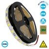 GLOBOSTAR® LUMAR 70020 Ταινία LED 14.4W/m 1440lm/m 120° DC 12V IP20 60 x SMD5050 Chip/m Ψυχρό Λευκό 6000K Dimmable - Sanan SMD Chip - Μ500 x Π1 x Υ0.2cm - Ρολό 5 Μέτρων - 5 Χρόνια Εγγύηση