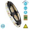 GloboStar® 70030 Ταινία LED SMD 5730 5m 20W/m 60LED/m 1500lm/m 120° DC 12V IP20 Ψυχρό Λευκό 6000K - 5 Χρόνια Εγγύηση GloboStar® 70030 Ταινία LED SMD 5730 5m 20W/m 60LED/m 1500lm/m 120° DC 12V IP20 Ψυχρό Λευκό 6000K - 5 Χρόνια Εγγύηση