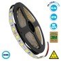 GLOBOSTAR® LUMAR 70220 Ταινία LED 14.4W/m 1440lm/m 120° DC 24V IP20 60 x SMD5050 Chip/m Ψυχρό Λευκό 6000K Dimmable - Sanan SMD Chip - Μ500 x Π1 x Υ0.2cm - Ρολό 5 Μέτρων - 5 Χρόνια Εγγύηση