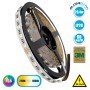 GLOBOSTAR® PRISMA 70265 Ταινία LED 20.4W/m 2040lm/m 120° DC 24V IP20 60 x SMD5050 Chip/m Πολύχρωμο RGBW+WW Dimmable - Sanan SMD Chip - Μ500 x Π1 x Υ0.2cm - Ρολό 5 Μέτρων - 5 Χρόνια Εγγύηση