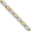 GLOBOSTAR® PRISMA 70266 Ταινία LED 18W/m 1800lm/m 120° DC 24V IP20 72 x SMD5050 Chip/m Πολύχρωμο RGBW+WW Dimmable - Sanan SMD Chip - Μ500 x Π1 x Υ0.2cm - Ρολό 5 Μέτρων - 5 Χρόνια Εγγύηση