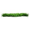 GLOBOSTAR® CLOVER 78411 Τεχνητό Πάνελ Φυλλωσιάς / Κάθετος Κήπος Τριφύλλι & Νάνος Φτέρη - Πράσινο - Μ60 x Π8 x Υ40cm