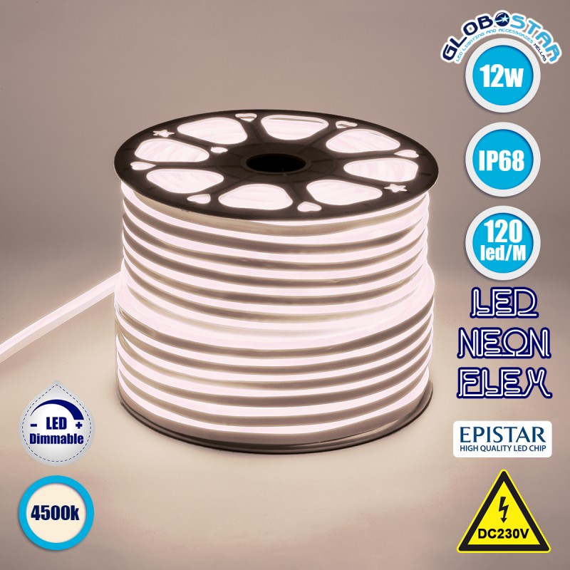 GLOBOSTAR® NEOVALE 70571 Ταινία Neon Flex LED 12W/m 960lm/m 120° DC 220-240V Αδιάβροχο IP65 120 x SMD2835 Chip/m Φυσικό Λευκό 4500K Dimmable - Sanan SMD Chip - Μ100 x Π0.8 x Υ1.6cm - 3 Χρόνια Εγγύηση