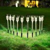 GloboStar® 71521-10 ΣΕΤ 10 Τεμαχίων Αυτόνομα Ηλιακά Φωτιστικά LED SMD 1W 40lm με Ενσωματωμένη Μπαταρία 600mAh - Φωτοβολταϊκό Πάνελ με Αισθητήρα Ημέρας-Νύχτας Αδιάβροχο IP65 Φανάρι Κήπου Στρογγυλό Θερμό Λευκό 2700K GloboStar® 71521-10 ΣΕΤ 10 Τεμαχίων Αυτόνομα Ηλιακά Φωτιστικά LED SMD 1W 40lm με Ενσωματωμένη Μπαταρία 600mAh - Φωτοβολταϊκό Πάνελ με Αισθητήρα Ημέρας-Νύχτας Αδιάβροχο IP65 Φανάρι Κήπου Στρογγυλό Θερμό Λευκό 2700K