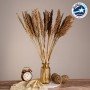 GloboStar® BROOMCORN 36554 Αποξηραμένο Φυτό Γλυκό Σόργο - Μπουκέτο Διακοσμητικών Κλαδιών Καφέ Υ80cm - Σετ 20 τμχ
