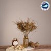 GloboStar® FERNGRASS 36556 Αποξηραμένο Φυτό Φτερόχορτο - Μπουκέτο Διακοσμητικών Κλαδιών Μπεζ Υ60cm - Σετ 50 τμχ
