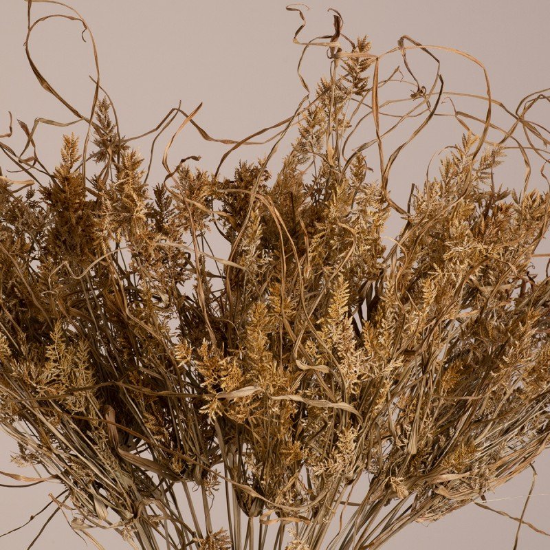 GloboStar® FERNGRASS 36556 Αποξηραμένο Φυτό Φτερόχορτο - Μπουκέτο Διακοσμητικών Κλαδιών Μπεζ Υ60cm - Σετ 50 τμχ