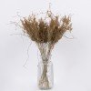 GloboStar® FERNGRASS 36556 Αποξηραμένο Φυτό Φτερόχορτο - Μπουκέτο Διακοσμητικών Κλαδιών Μπεζ Υ60cm - Σετ 50 τμχ