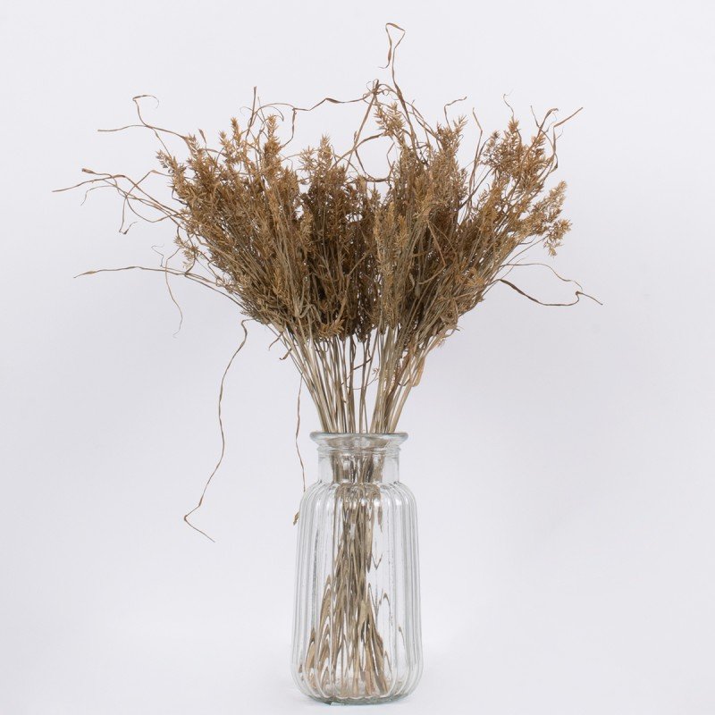 GloboStar® FERNGRASS 36556 Αποξηραμένο Φυτό Φτερόχορτο - Μπουκέτο Διακοσμητικών Κλαδιών Μπεζ Υ60cm - Σετ 50 τμχ