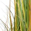 GloboStar® Artificial Garden PAMPAS GRASS 20108 Τεχνητό Διακοσμητικό Φυτό Γρασίδι της Πάμπας Υ150cm