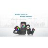 GloboStar® 73009 RT5 SKYDANCE Ασύρματο Χειριστήριο Αφής RF 2.4Ghz 1 Group για όλα τα RGBW+WW SKYDANCE Controller  DC 3V 2 x AAA - IP20 Μαύρο Μ5.3 x Π1.75 x Υ12.2cm - 5 Years Warranty