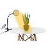 GLOBOSTAR® GROWME 79649 Φωτιστικό Ανάπτυξης Φυτών με Ενσωματωμένο Χειριστήριο LED 5W 200lm 160° DC 5V με USB 2.0 IP20 Πλήρους Φάσματος Θερμό Λευκό 3000K Dimmable - Sanan SMD Chip - Μαύρο - Μ10 x Π20 x Υ36cm - 2 Χρόνια Εγγύηση