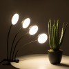 GloboStar® 79655 Grow Light Hydro Spectrum LED Φωτιστικό Ανάπτυξης Υδροπονικών Φυτών Γλάστρας με 4 Κινούμενες Κεφαλές & Βάση Clip SMD 2835 20W 160° DC 5V IP20 με Dimmer & Timer Εσωτερικού Χώρου για Κάλυψη Επιφάνειας 1m x 1m Πλήρους Φάσματος Φωτισμ GloboStar® 79655 Grow Light Hydro Spectrum LED Φωτιστικό Ανάπτυξης Υδροπονικών Φυτών Γλάστρας με 4 Κινούμενες Κεφαλές & Βάση Clip SMD 2835 20W 160° DC 5V IP20 με Dimmer & Timer Εσωτερικού Χώρου για Κάλυψη Επιφάνειας 1m x 1m Πλήρους Φάσματος Φωτισμ