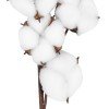 GloboStar® Artificial Garden COTTON BRANCH 20558 Τεχνητό Διακοσμητικό Κλαδί βαμβάκι Υ45cm