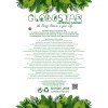 GloboStar® Artificial Garden CALADIUM 20889 Τεχνητό Διακοσμητικό Φυτό Τροπικό Καλάδιο Φ40 x Υ33cm