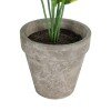 GloboStar® Artificial Garden YELLOW HOSTA PLANT 20899 Τεχνητό Διακοσμητικό Φυτό Κίτρινη Χόστα Φ45 x Υ40cm