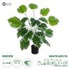 GloboStar® Artificial Garden WHITE HOSTA PLANT 20920 Διακοσμητικό Φυτό Λευκή Χόστα Φ87 x Υ80cm GloboStar® Artificial Garden WHITE HOSTA PLANT 20920 Διακοσμητικό Φυτό Λευκή Χόστα Φ87 x Υ80cm