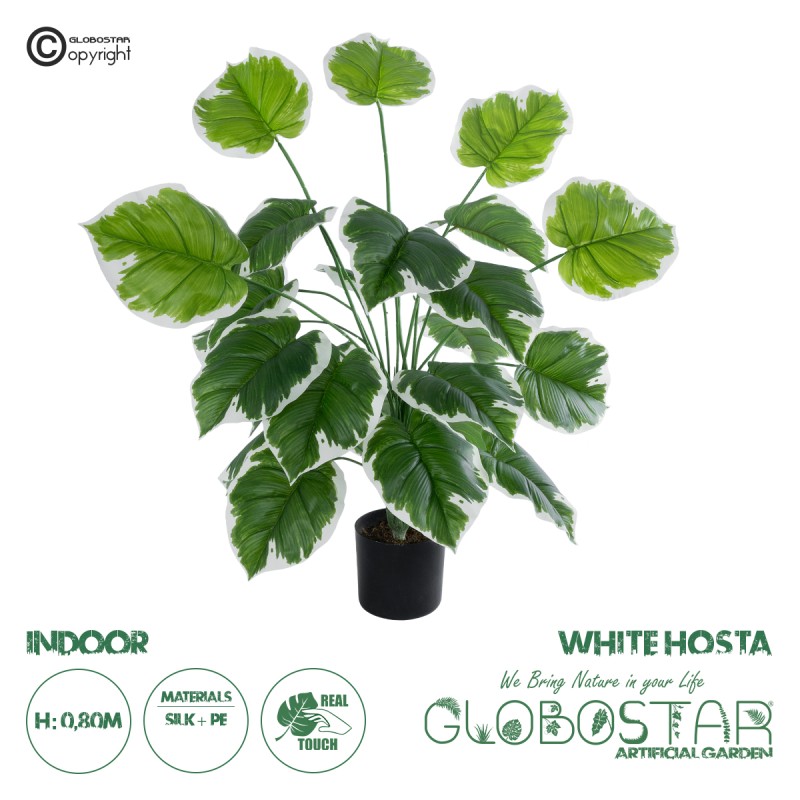 GloboStar® Artificial Garden WHITE HOSTA PLANT 20920 Διακοσμητικό Φυτό Λευκή Χόστα Φ87 x Υ80cm GloboStar® Artificial Garden WHITE HOSTA PLANT 20920 Διακοσμητικό Φυτό Λευκή Χόστα Φ87 x Υ80cm