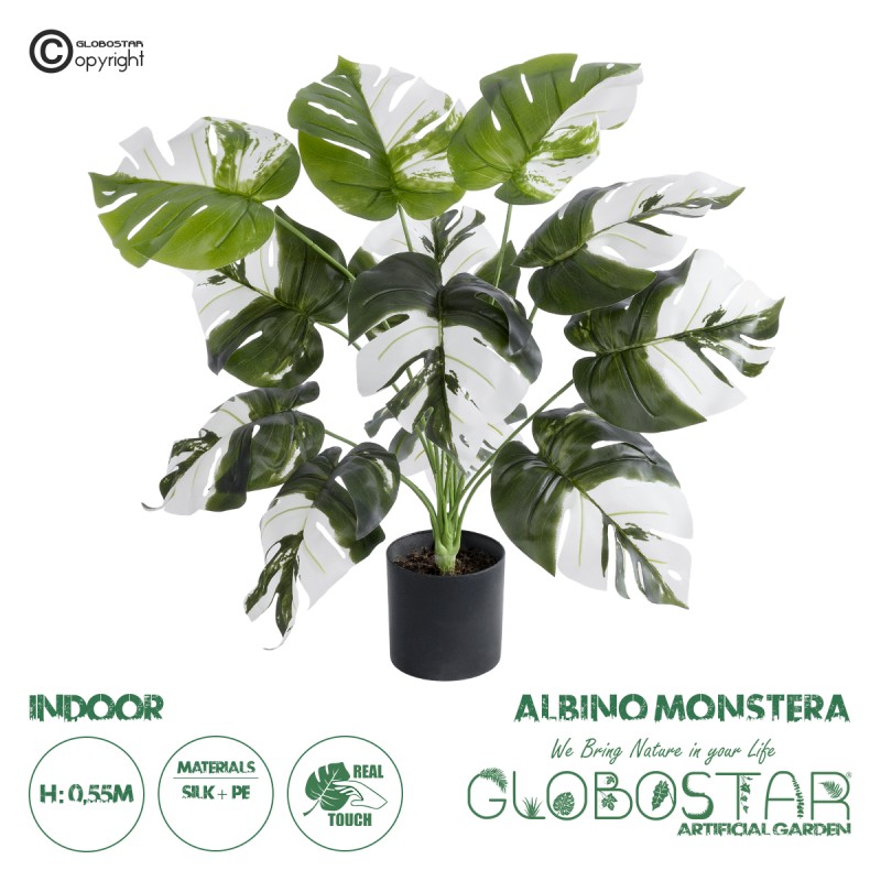 GloboStar® Artificial Garden ALBINO MONSTERA PLANT 20935 - Διακοσμητικό Φυτό Λευκή Μονστέρα Φ60 x Υ55cm