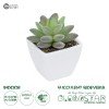 GloboStar® Artificial Garden  SUCCULENT SEDEVERIA POTTED PLANT 20975 Διακοσμητικό Φυτό Φοίνικα Σερενόα Φ7 x Υ8cm