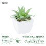 GloboStar® Artificial Garden SUCCULENT ALOE LOTUS PLANT 20976 Διακοσμητικό Φυτό Παχύφυτο Λωτός Αλόης Φ8 x Υ8cm