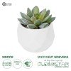GloboStar® Artificial Garden SUCCULENT SEDEVERIA POTTED PLANT 20987 Διακοσμητικό Φυτό Σεδεβέρια Φ7 x Υ7,5cm