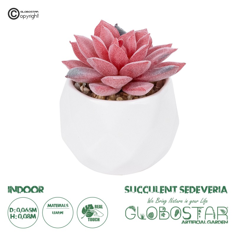 GloboStar® Artificial Garden SUCCULENT SEDEVERIA POTTED PLANT 20989 Διακοσμητικό Φυτό Σεδεβέρια Φ6,5 x Υ8cm