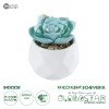 GloboStar® Artificial Garden SUCCULENT ECHEVERIA 20996 Διακοσμητικό Φυτό Παχύφυτο Εχεβέρια Υ7cm