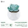 GloboStar® Artificial Garden SUCCULENT ECHEVERIA 20996 Διακοσμητικό Φυτό Παχύφυτο Εχεβέρια Υ7cm