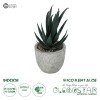 GloboStar® Artificial Garden SUCCULENT ALOE POTTED PLANT 21007 Διακοσμητικό Φυτό Αλόη  Φ7 x Υ14cm
