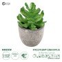 GloboStar® Artificial Garden SUCCULENT CRASSULA 21014 Διακοσμητικό Φυτό Παχύφυτο Κράσουλα Υ11.5cm