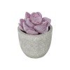 GloboStar® Artificial Garden SUCCULENT SEDEVERIA POTTED PLANT 21028 Διακοσμητικό Φυτό Σεδεβέρια Φ5x Υ11cm GloboStar® Artificial Garden SUCCULENT SEDEVERIA POTTED PLANT 21028 Διακοσμητικό Φυτό Σεδεβέρια Φ5x Υ11cm