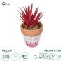 GloboStar® Artificial Garden AIR PLANT NEOPHYTUM POTTED PLANT 21042 Διακοσμητικό Φυτό Νεόφυτο Φ12 x Υ15cm