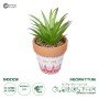 GloboStar® Artificial Garden AIR PLANT NEOPHYTUM POTTED PLANT 21043 Διακοσμητικό Φυτό Νεόφυτο Φ12 x Υ15cm