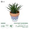 GloboStar® Artificial Garden SUCCULENT SANSEVIERIA POTTED PLANT 21047 Διακοσμητικό Φυτό Σανσεβιέρια  Φ16x Υ20cm
