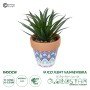GloboStar® Artificial Garden SUCCULENT SANSEVIERIA POTTED PLANT 21047 Διακοσμητικό Φυτό Σανσεβιέρια  Φ16x Υ20cm