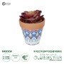 GloboStar® Artificial Garden SUCCULENT ECHEVERIA POTTED PLANT 21050 Διακοσμητικό Φυτό Εχεβέρια Φ10 x Υ13cm