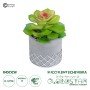GloboStar® Artificial Garden SUCCULENT SEDEVERIA 21095 Διακοσμητικό Φυτό Παχύφυτο Σεντεβέρια Υ17cm