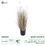 GloboStar® Artificial Garden BEIGE LAGURU 21100 Διακοσμητικό Φυτό Μπεζ Λαγοουρά Υ70cm