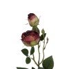 GloboStar® Artificial Garden RED DAMASK CLIMBING ROSE BRANCH 21197 Τεχνητό Διακοσμητικό Κλαδί Τριαντάφυλλο Κόκκινο Y55cm